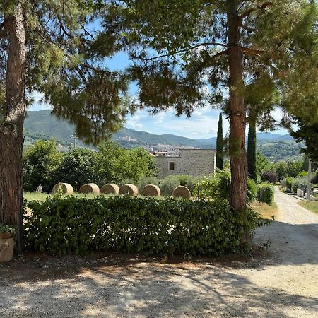 L'Antico Seminario Guest House Spoleto Ngoại thất bức ảnh